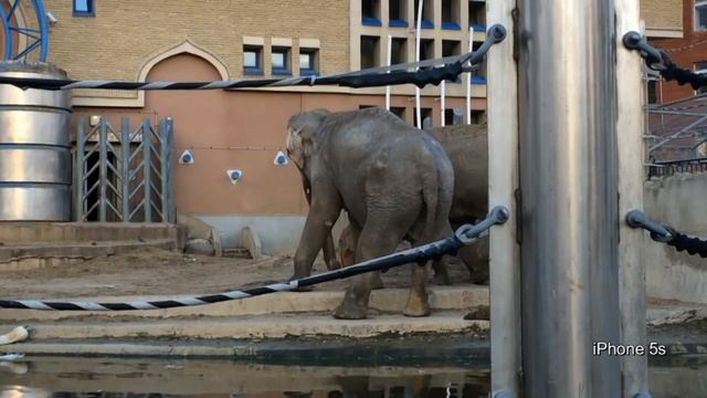 iPhone 5s против iPhone 5. Сравнение. Тест видео и фото съемки. Veryvery.ru смотреть онлайн