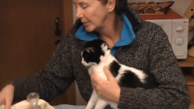 Aerocat