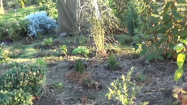 Уборка цветников !