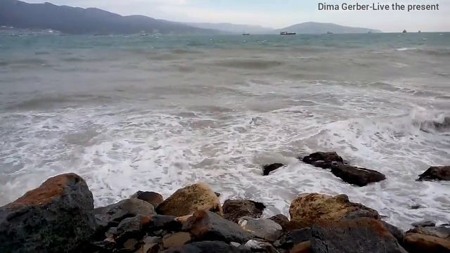 Dima Gerber- Live the present смотреть онлайн