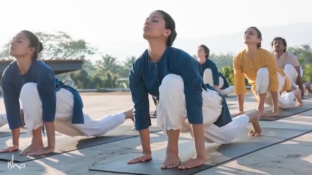 Хатха Йога смотреть онлайн