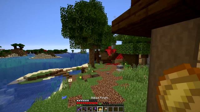 How to enjoy your Minecraft World - Let's Play Survival 1.16 смотреть онлайн