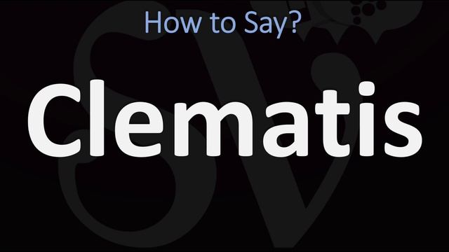 How To Pronounce Clematis? (CORRECTLY)