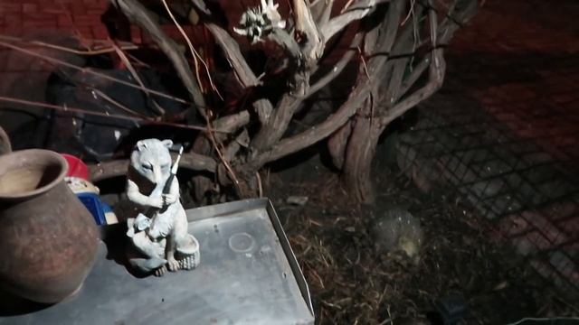 VLOG Вечеря на Рождество