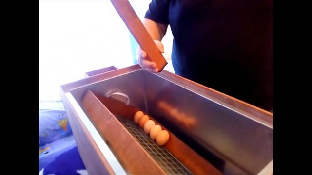 Закладка яиц в инкубатор Блиц 72 Ц8. смотреть онлайн