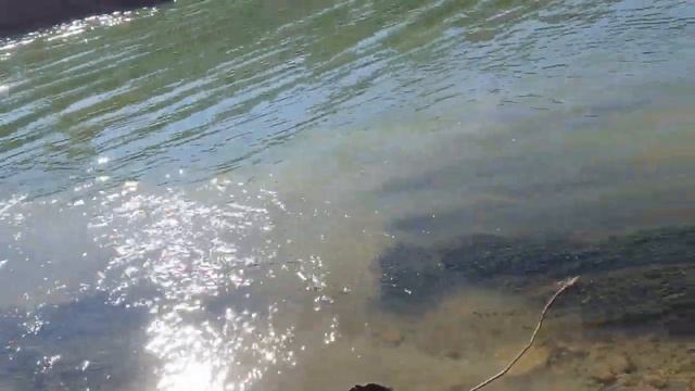 Плотва на мах! ВДСК раздает! смотреть онлайн