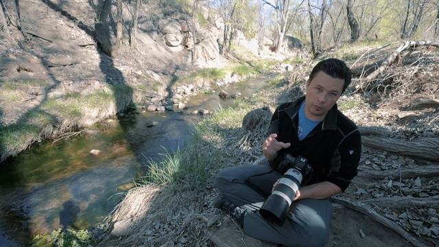 Wildlife Photography Tutorial: How To Photograph Small Birds