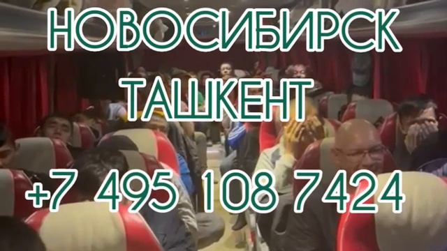 Новосибирск Ташкент автобус такси смотреть онлайн