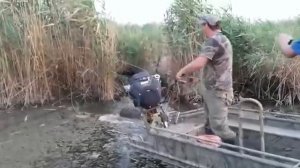 лодка болотоход