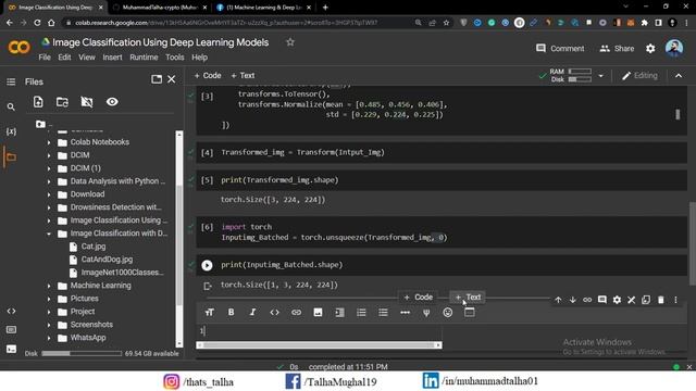 Image Classification Using ResNet Model | Computer Vision | Single Label Classification 01/04 смотреть онлайн
