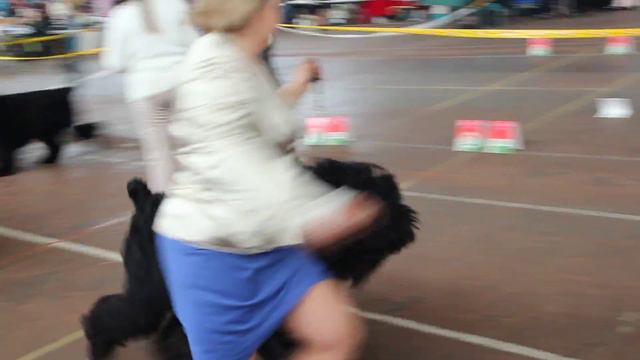 MVI 1430 смотреть онлайн