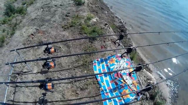 Рыбалка в Курской области -Тузики смотреть онлайн
