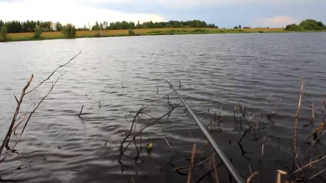 Карась на боковой кивок! Трофей. Карась монстр.