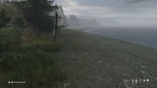 How to PROGRESS in DayZ as a BEGINNER in 2024 смотреть онлайн