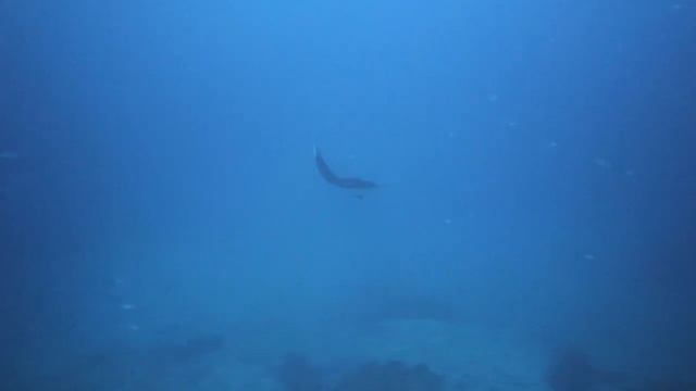 Расслабляющая фортепианная музыка ? Изучайте фортепианную музыку ? Фортепиано для снятия стресса смотреть онлайн