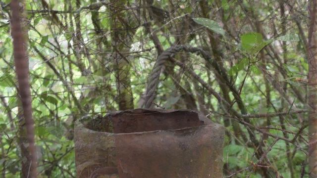Гнездо синицы, в самом необычном месте. смотреть онлайн