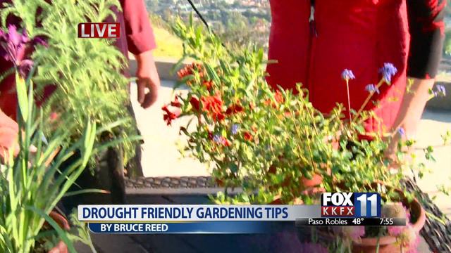 KKFX: Drought Friendly Gardening Tips | Bruce Reed