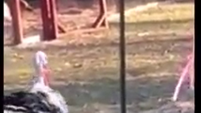 Как вскружить голову мужчине смотреть онлайн