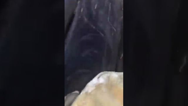 UFAK SURTMELERIN COZUMU смотреть онлайн