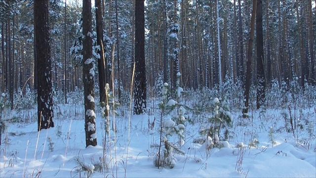 Добиваюсь полного восстановления здоровья сердца смотреть онлайн