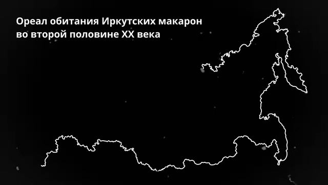 Краткая история Иркутской области. Глава 7. Иркутская макаронная фабрика смотреть онлайн