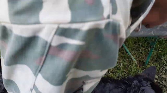 Самый ЛУЧШИЙ способ ПОДВЯЗКИ ТОМАТОВ.Лечим Лайку. смотреть онлайн