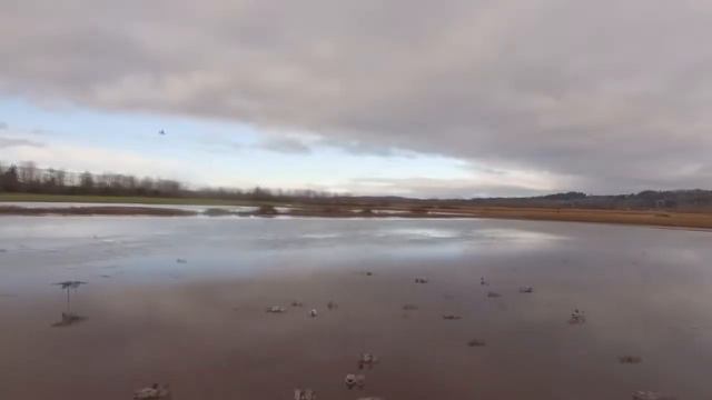 ✔Охота на утку Лучшие налеты смотреть онлайн