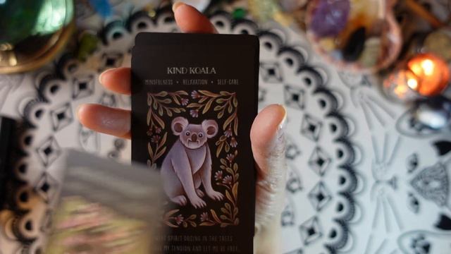 WILD WHISKERS SPIRIT ANIMAL ORACLE By AWARD-WINNING ARTIST FAINA LORAH - Deck Review смотреть онлайн