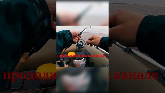 Рыбалка на спиннинг // Рыбалка на донку #рыбалка #клёв #рыбалканадонку #рыбалканаспиннинг смотреть онлайн