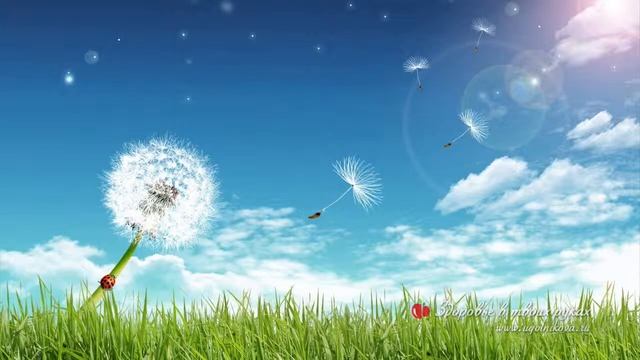 Медитация Гармонизация души и тела смотреть онлайн