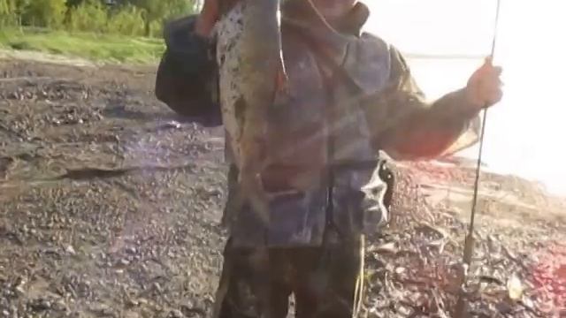 Нельма смотреть онлайн