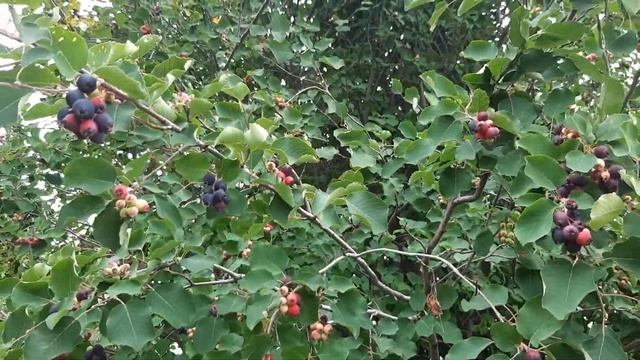 СтройЗагадки