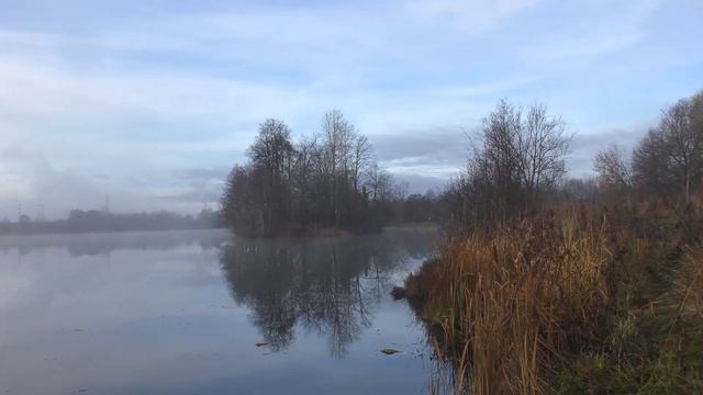 Утренняя прогулка в туман 4К смотреть онлайн