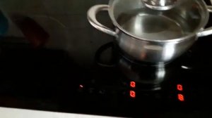 Индукционная варочная панель Electrolux гул кулера вентилятора. Ремонт индукционных варочных панелей