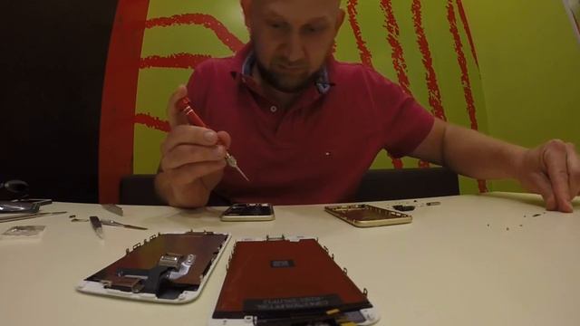 Как разобрать IPhone 6 (iPhone 6 Disassembly), часть 1 - Данил Кетия