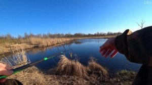 Ловля карася. Жор карася ранней весной. Рыбалка на поплавочную удочку. Рыбалка на карася в канавах