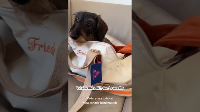 Design Your Own Dog Bag Today! The ultimate dog bag for pet lovers!!! смотреть онлайн