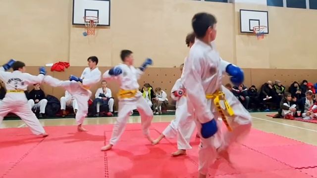 Аттестация на цветные пояса в Полтавской области смотреть онлайн