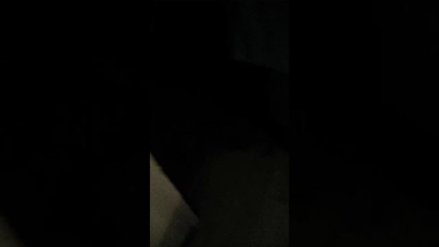 Такса видит приведение смотреть онлайн