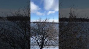 Весна пришла! Волга. Ярославль. Набережная.