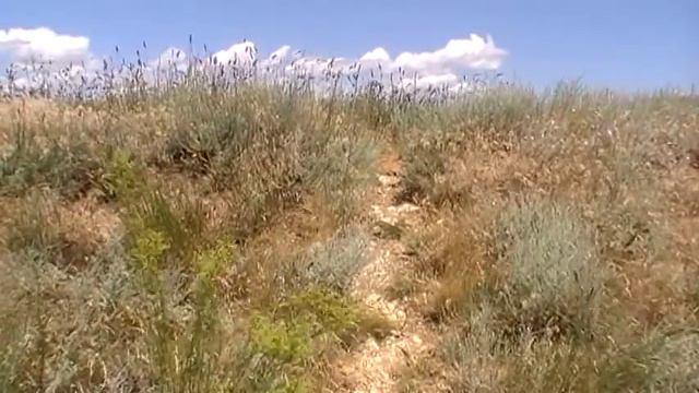 Поход Хорошевская - Цимлянск 2.07.2016 смотреть онлайн