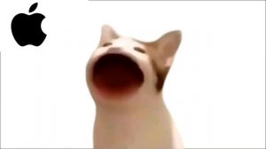 Рингтоны коты