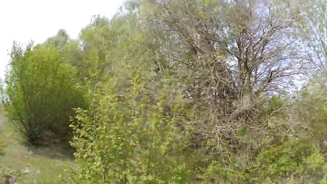 Лучшие места для ловушек на пчёл!!! Где и как, я поставил ловушки на рои. Роеловство 2019! смотреть онлайн