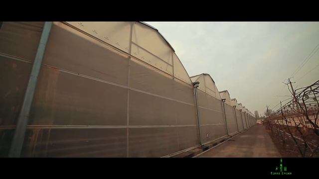 OOO "Sabo Hamkor" (Ўзбекча) Biz Haqimizda смотреть онлайн