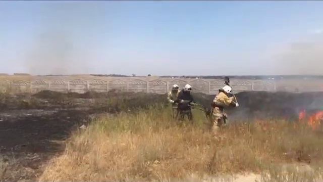 Алматинские пожарные 6-7 раз в сутки вынуждены тушить сухостой смотреть онлайн