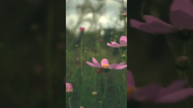 1627 1005358 mp3 смотреть онлайн