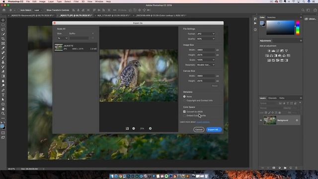 Quick way to save a JPEG from Photoshop смотреть онлайн