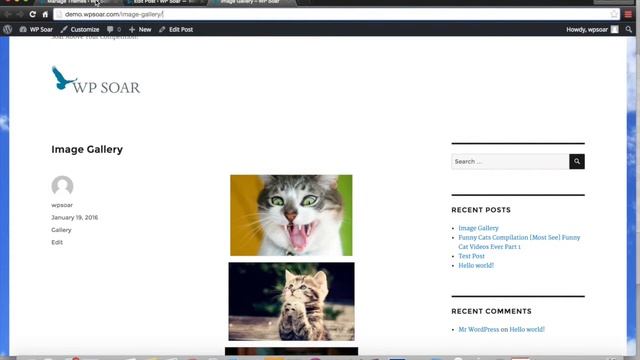 What is a Permalink in WordPress? смотреть онлайн