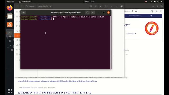 Como instalar o Netbeans IDE no Linux смотреть онлайн