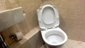 Установка сиденья для унитаза своими руками